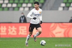 冲刺阶段全明星赛焦点战；武汉三镇临场应变；引发热议；轮换策略成焦点(刘老庄82烈士之真相)-爱游戏