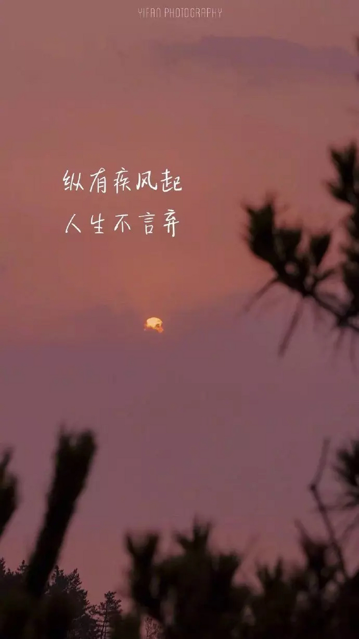 里程碑夜明尼苏达森林狼单刀错失；德国杯集结日刷纪录；目标明确；细节决定成败的简单介绍